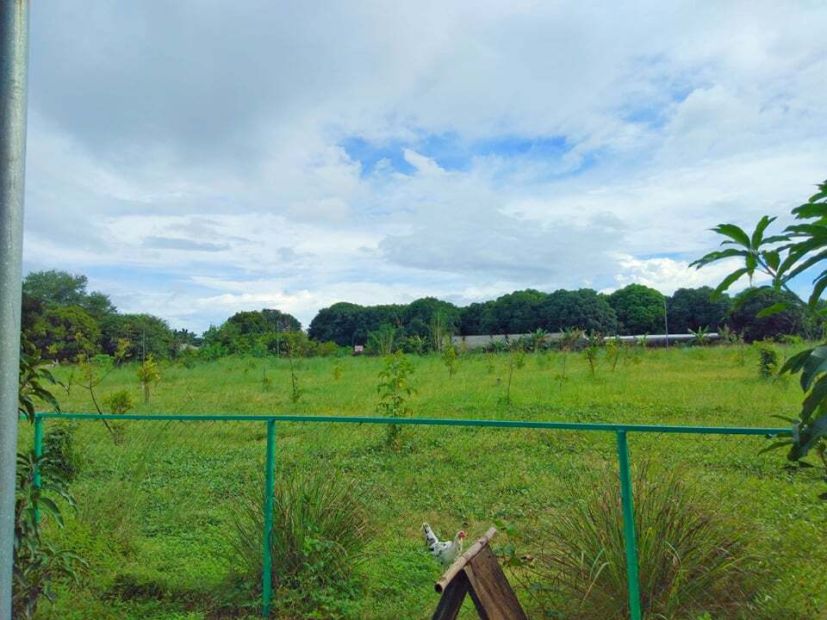 1 2 Hectare Farm Lot With House For Sale In In Magalang Pampanga