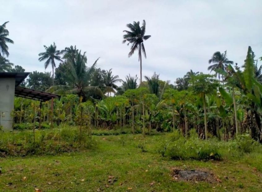 Lot For Sale In General Emilio Aguinaldo Formerly Bailen Cavite