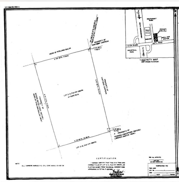 8,818sqm Commercial Lot for sale in Diezmo Road Pulo Exit Cabuyao, Laguna