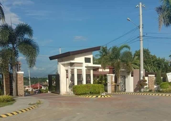 Lot For Sale At Cecilia Heights Cabantian Davao City