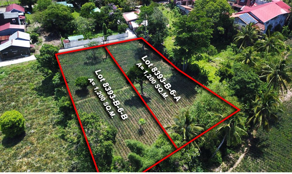 For Sale 1,200 sqm Titled Lot Property in Brgy. Zambal Tagaytay City