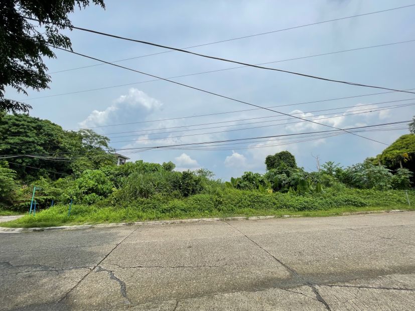 1,081 sqm Lot Area with Lush Mountain For Sale at Ma. Luisa Estate Park ...