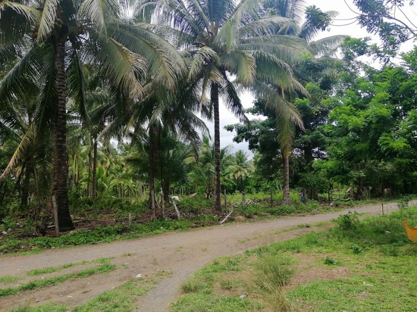 BEACH PROPERTY FOR SALE IN PALAWAN