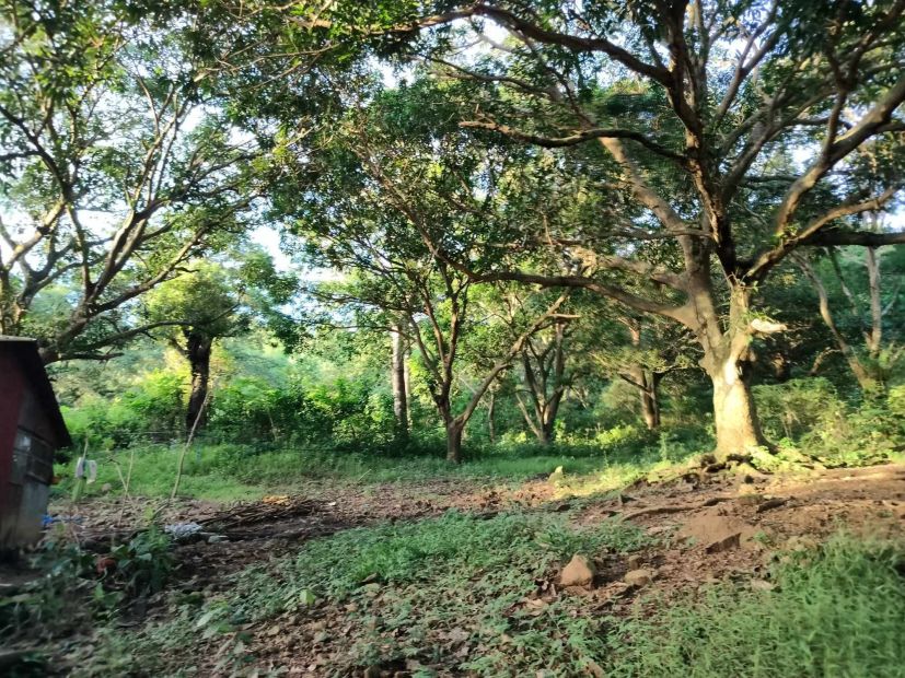 14 Hectares Lot for Sale in Barangay Tayuman, Binangonan, Rizal