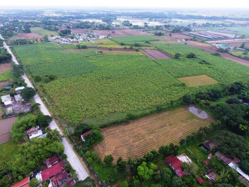 Vacant Lot For Sale in Gerona Pura Tarlac City