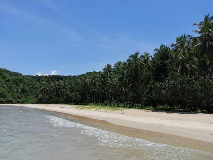 Beach Lot for Sale (Puerto Princesa, Palawan)