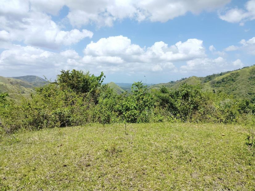 2 Adjacent Farm lot for sale in Carmen, Bohol, Philippines