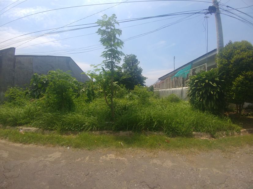 4 Sale Vacant lot in Balayan Batangas nr Waltermart & Western Hospital