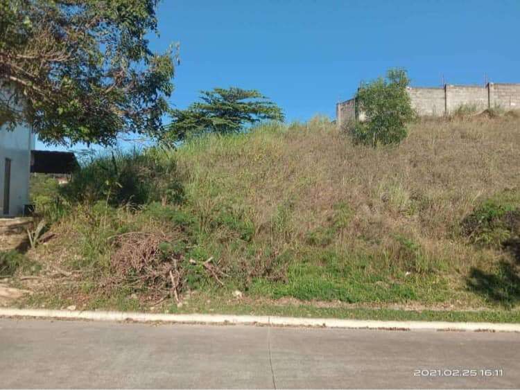 OVERLOOKING LOT FOR SALE, Lagtang Talisay City, Cebu