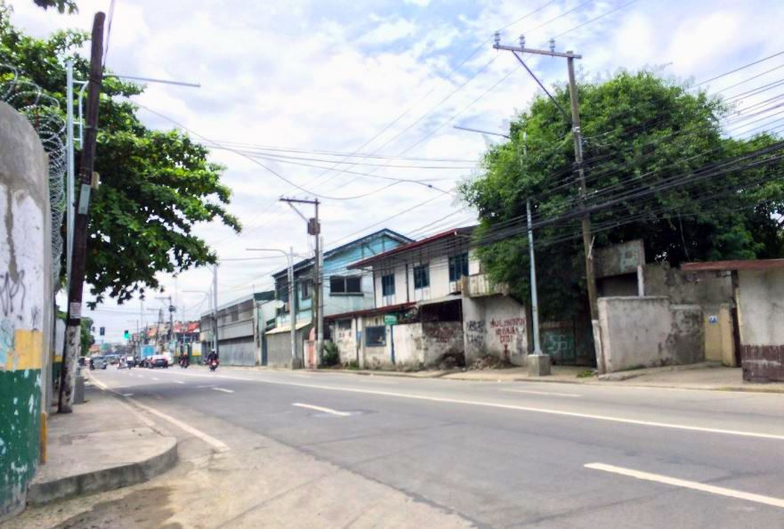 Commercial Land for Sale in Quirino Avenue, Paranaque City