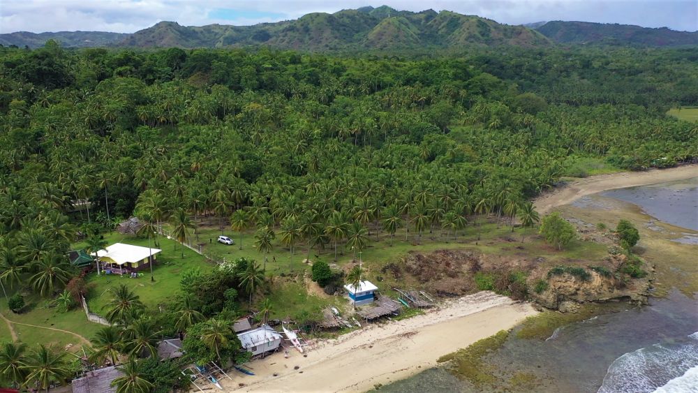 Siquijor Beach Side Lot For Sale in Bogo, Maria, Siquijor