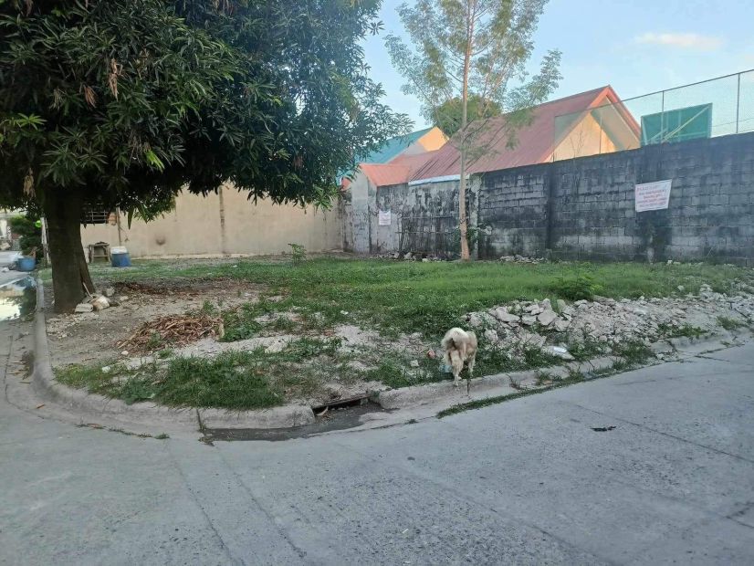 Lot For Sale in Subdivision at Dau Pampanga