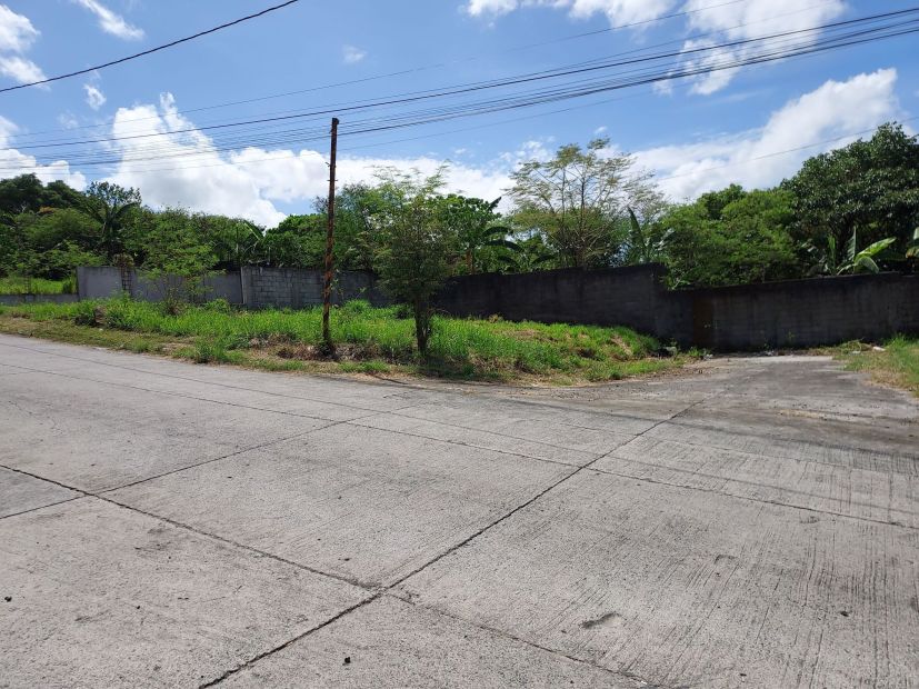 Residential Corner Lot (249 sqm) at Eastborough Place Subdivision