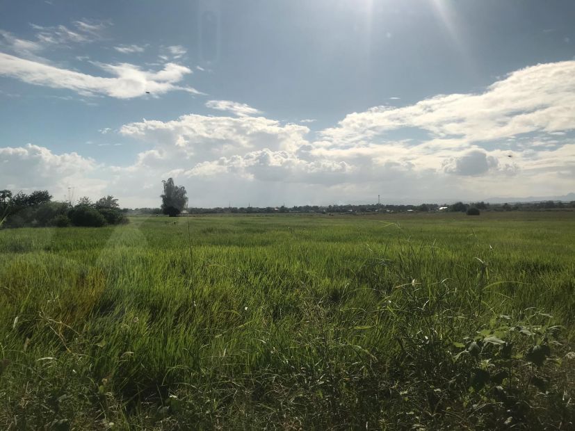 250-hectares-farmland-for-sale-in-tarlac