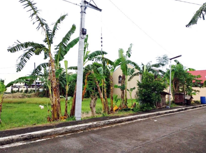 150 sqm Lot for Sale in Pallas Athena Executive Village Imus Cavite