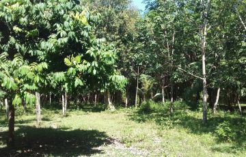 Aborlan, Palawan Lot For Sale | MyProperty