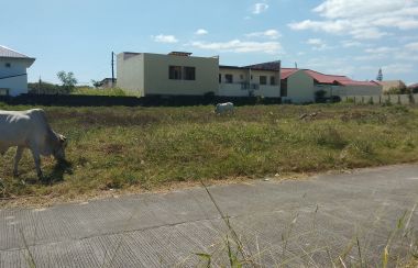 Lot For Sale 1 000 Square Meters Near New Era University Lipa City Batangas