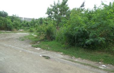 Pulong Santa Cruz Santa Rosa Laguna Lot For Rent MyProperty