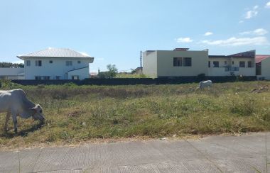 Lot For Sale 1 000 Square Meters Near New Era University Lipa City Batangas