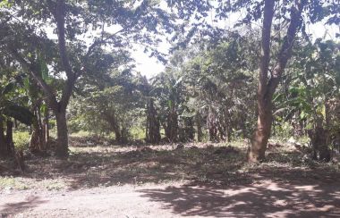 Lot for Sale in Green Breeze Village III, Cavite