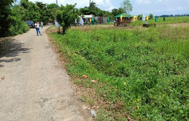 Duhat Santa Cruz Laguna Lot For Sale MyProperty