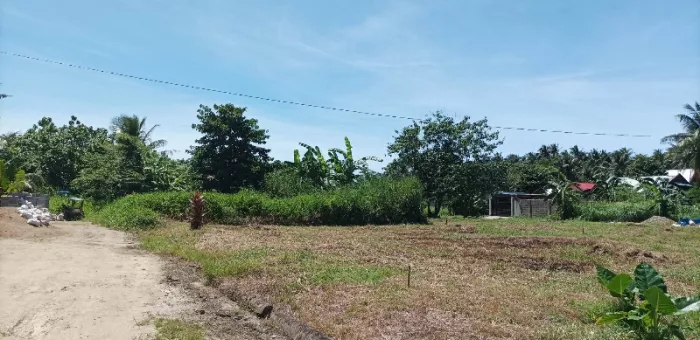 Catarman, Northern Samar Lot For Sale | MyProperty