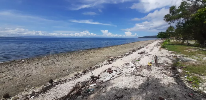 Beach lot For Sale in Santander, Cebu | MyProperty