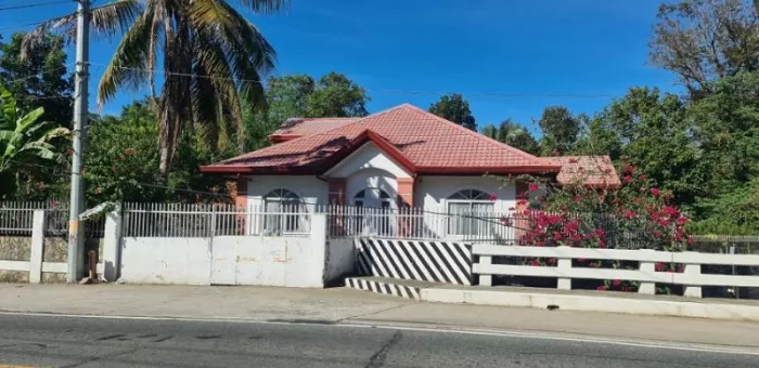 Poblacion Sur, Santiago, Ilocos Sur House and lot For Sale | MyProperty