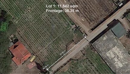 11,542 sqm Residential Fruit Farm Lot For Sale in Magalang, Pampanga