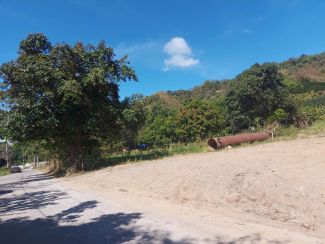 1.4 Hectares Residential Farm Lot for Sale in Pantay Buhangin Road, Teresa