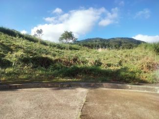 For Sale Pinewoods Lot with Overlooking View in Asin Road, Baguio City