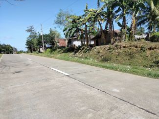 Lot for sale 1,200 sqm ideal for commercial Getafe Bohol Philippines
