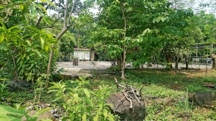 Vacant Commercial Lot in Antipolo, Rizal for Lease (PL#2088)
