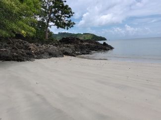 White Sand Facing Sunrise Beach - Lot for sale at El Nido, Palawan
