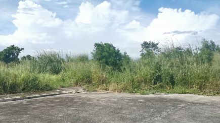 Industrial Lot in Silang, Cavite for Sale (4008)
