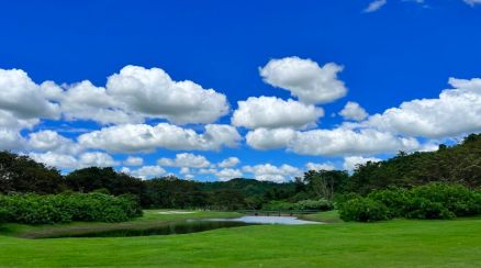 RARE BUY: Fully develop and Operational Golf Course For Sale - 134 hectares lot