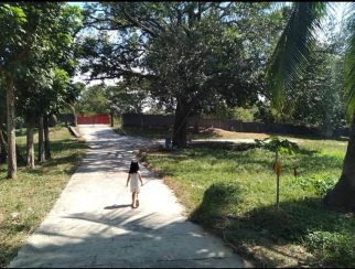 3.3 Hectares Poultry Lot for Sale at Goliman, Malasiqui, Pangasinan