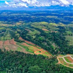 Farm/Residential Lot For Sale in Dahilayan, Manolo Fortich, Bukidnon