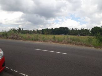 Commercial Lot for Lease in Radial 4 Bypass Road San Vicente, Leganes, Iloilo