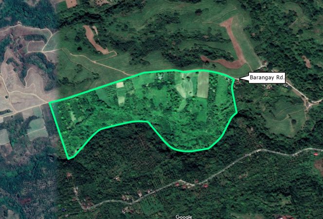 31 Hectares Magallanes Cavite