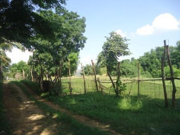 3,821 square meters Lot For Sale in Barangay Palina, Pugo, La Union