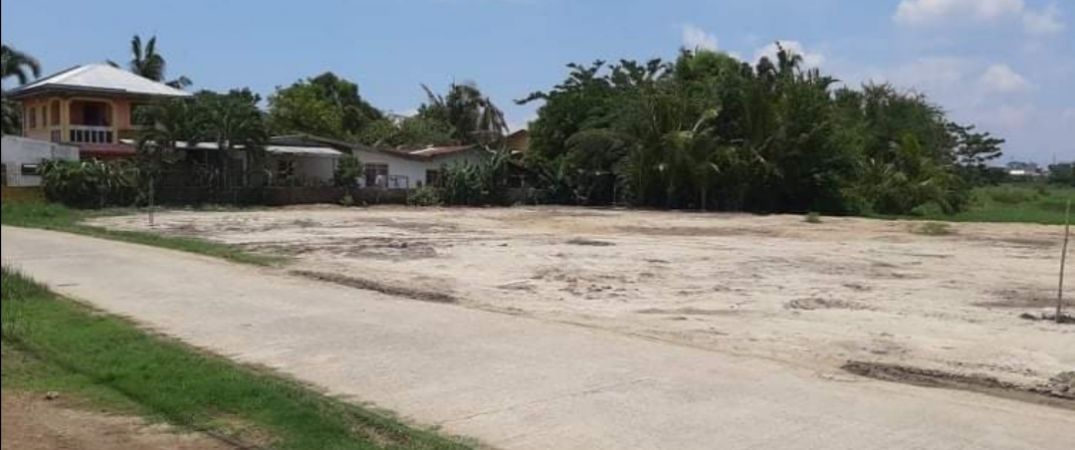 288 sqm Residential Vacant Lot for Sale in Binmaley, Pangasinan