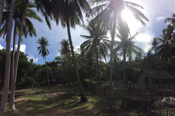 Beach Lot in El Nido Palawan