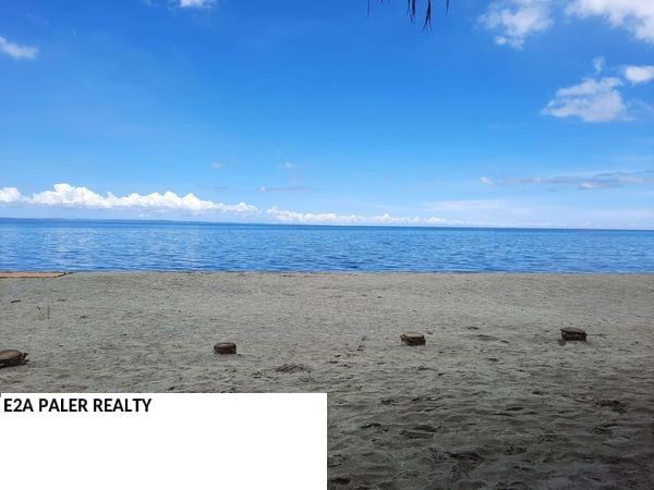 Private Beach Resort for sale ( Tapel Oas Albay )