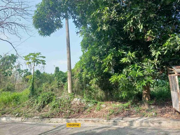 PALOS VERDES| 300sqm Lot for Sale in Antipolo, Rizal