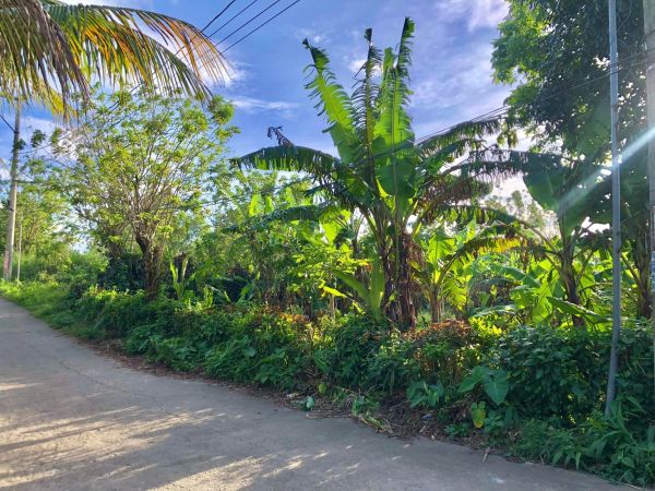 Tagaytay Lot for Sale
