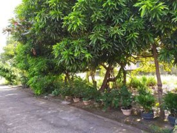 309 sqm Residential Lot For Sale at South City Homes, Binan, Laguna