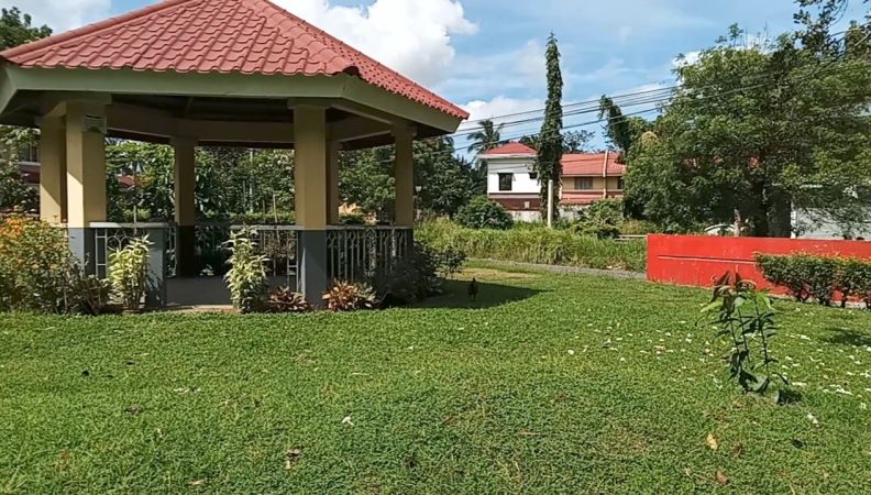RUSH SALE! Residential/Commercial Lot in Tanauan City Batangas