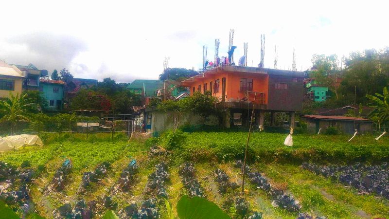 Lot For Sale in Baguio City