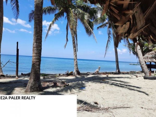 Beach Lot for Sale ( Tapel Oas Albay )